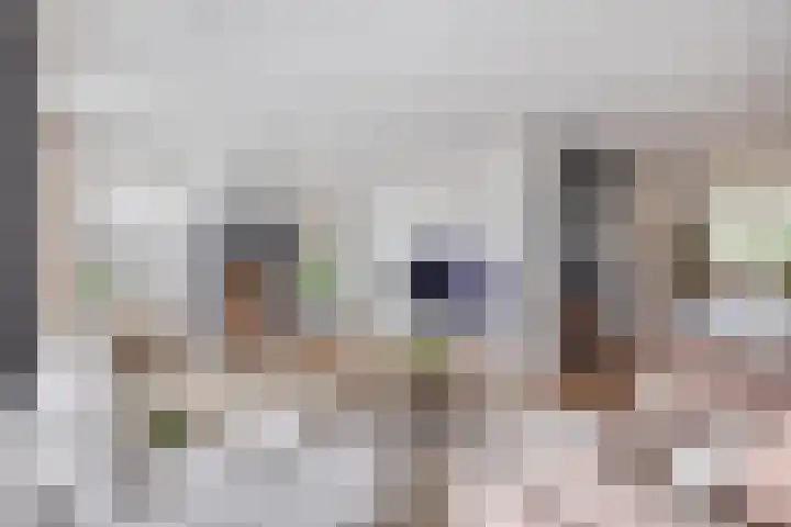 Farin 9 Geldrop thumbnail 11