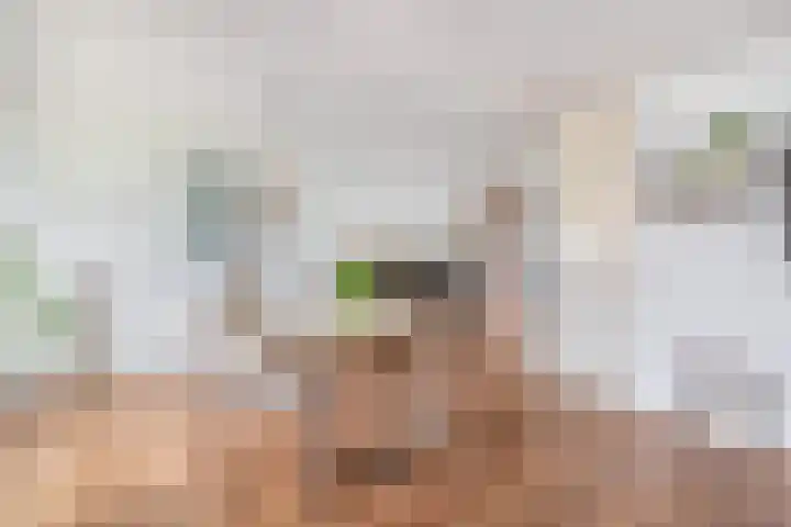 Farin 9 Geldrop thumbnail 16