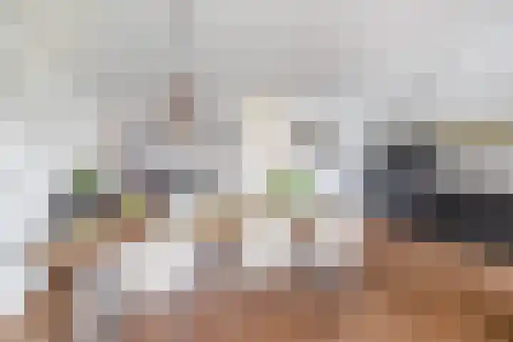 Farin 9 Geldrop thumbnail 17