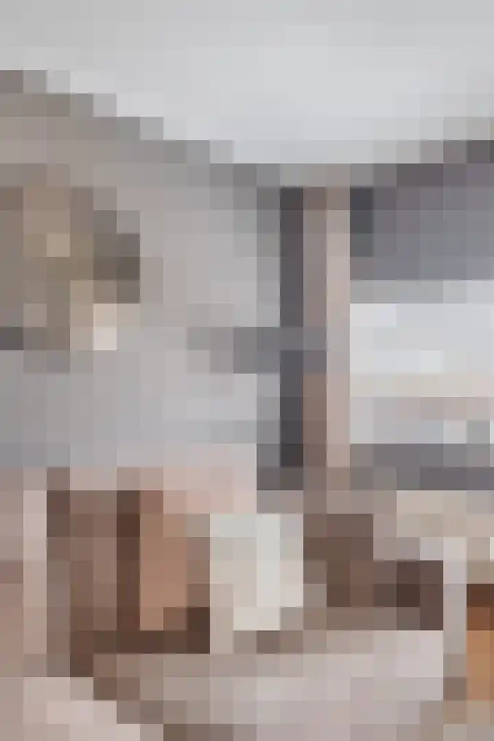Farin 9 Geldrop thumbnail 18