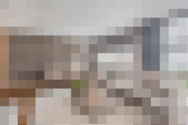 Farin 9 Geldrop foto 2