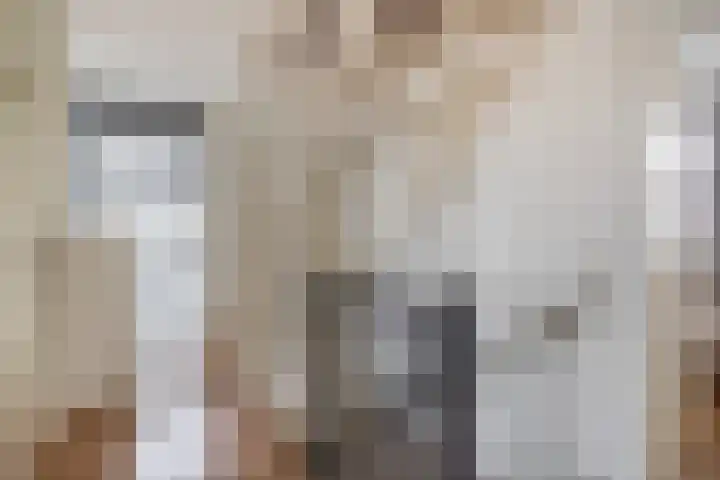 Farin 9 Geldrop thumbnail 26