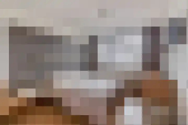 Farin 9 Geldrop thumbnail 27