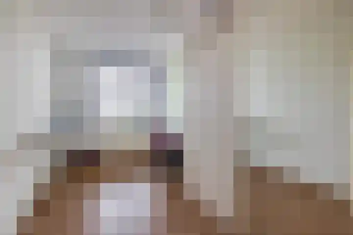 Farin 9 Geldrop thumbnail 31