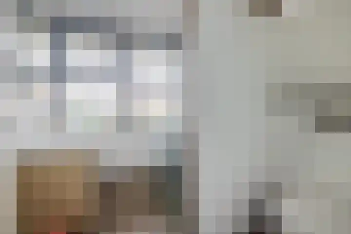 Farin 9 Geldrop thumbnail 32