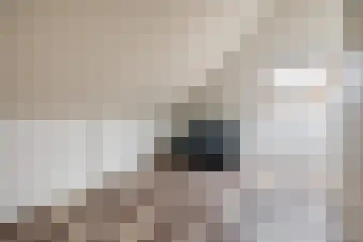 Farin 9 Geldrop thumbnail 36