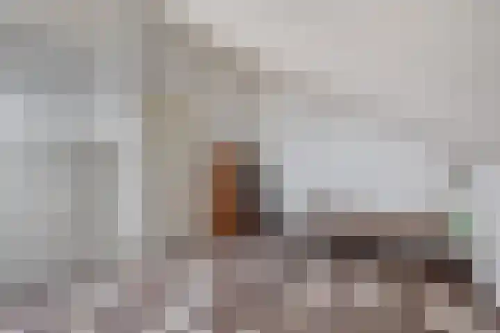 Farin 9 Geldrop thumbnail 37
