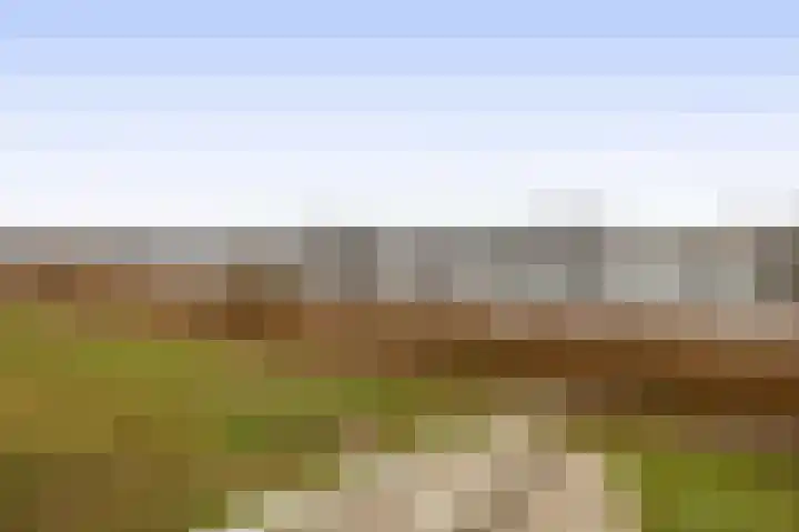 Farin 9 Geldrop thumbnail 4