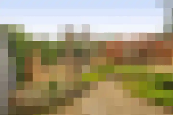 Farin 9 Geldrop thumbnail 40