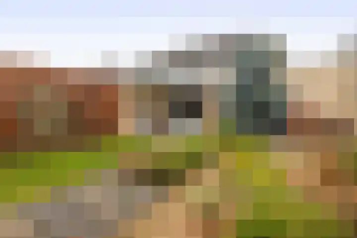 Farin 9 Geldrop thumbnail 41