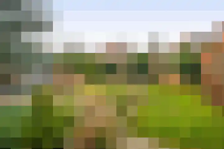 Farin 9 Geldrop thumbnail 43