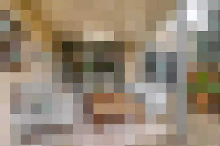 Farin 9 Geldrop thumbnail 45