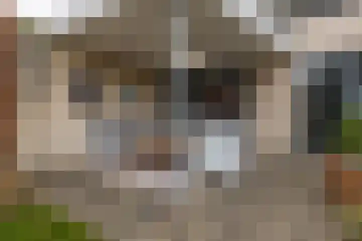 Farin 9 Geldrop thumbnail 46