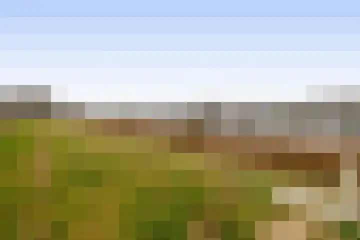 Farin 9 Geldrop thumbnail 51