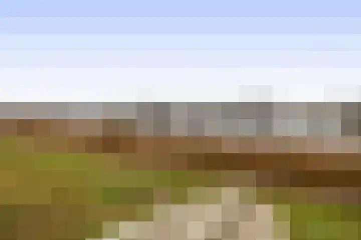 Farin 9 Geldrop thumbnail 52