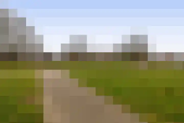 Farin 9 Geldrop thumbnail 53