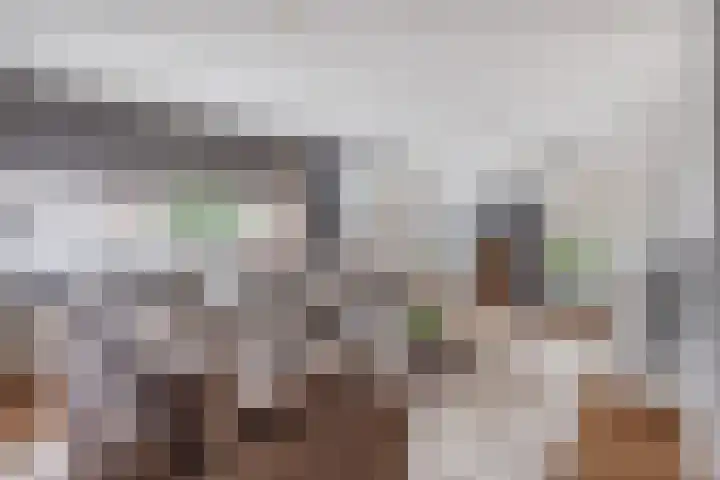 Farin 9 Geldrop thumbnail 8