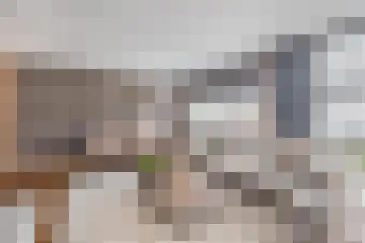 Farin 9 Geldrop thumbnail 9