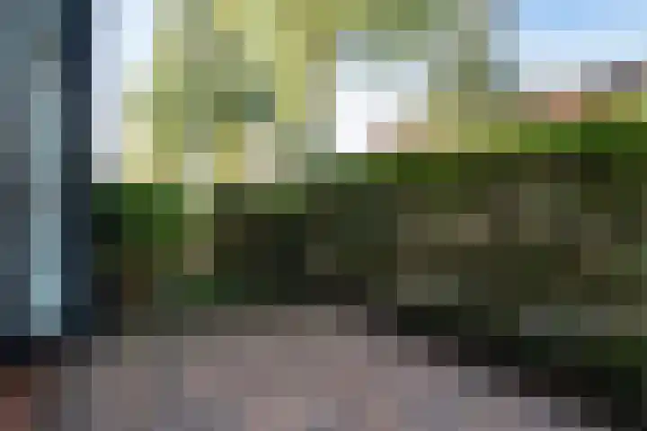 Farmanstraat 12 Den Haag thumbnail 7