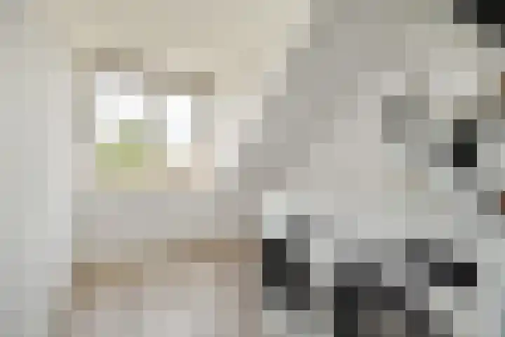 Farmanstraat 2 Badhoevedorp thumbnail 28