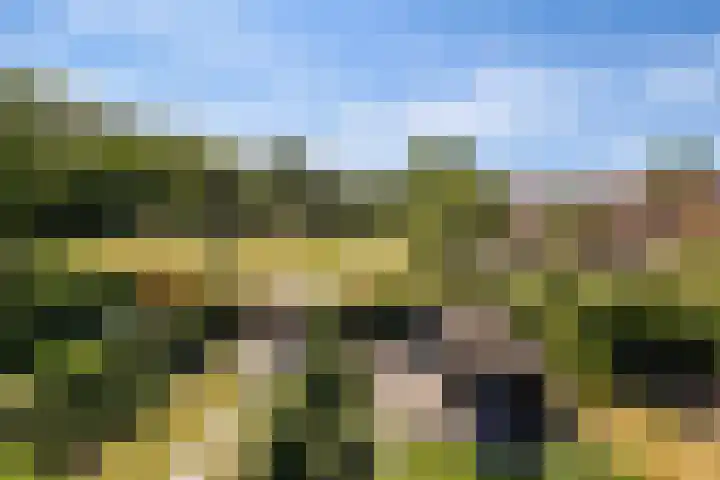 Farmanstraat 2 Badhoevedorp thumbnail 34