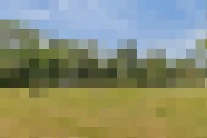 Farmanstraat 2 Badhoevedorp thumbnail 35