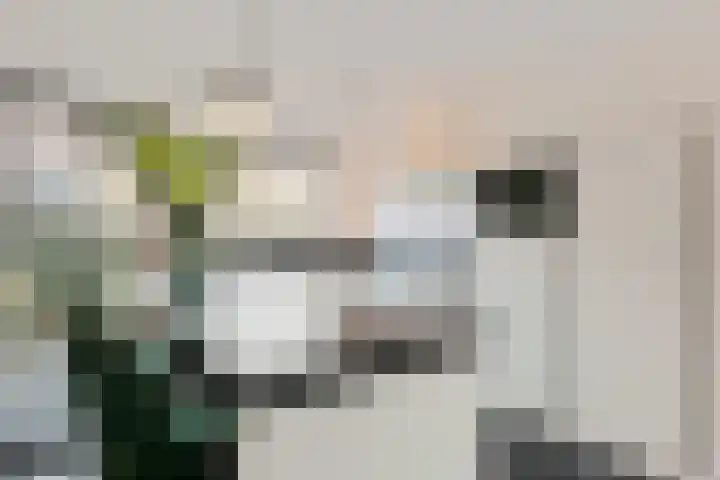 Farmanstraat 5 Badhoevedorp thumbnail 13