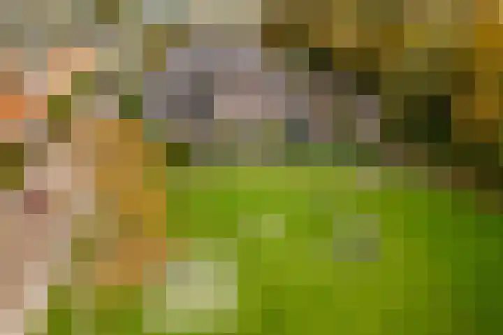 Farmanstraat 5 Badhoevedorp thumbnail 43