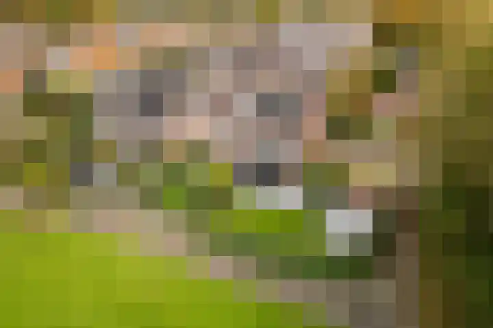 Farmanstraat 5 Badhoevedorp thumbnail 5