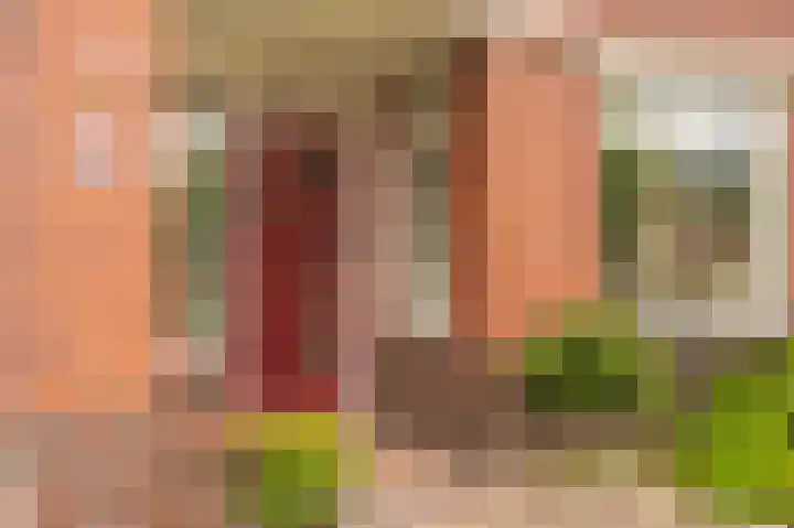 Farmsumerweg 101 Appingedam thumbnail 10
