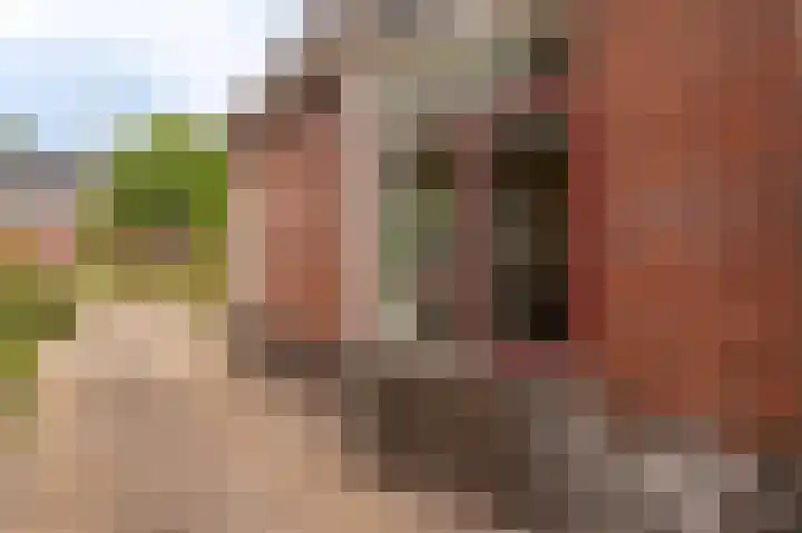 Farmsumerweg 101 Appingedam thumbnail 12