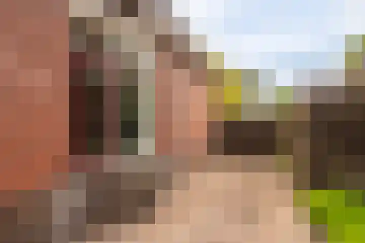 Farmsumerweg 101 Appingedam thumbnail 13