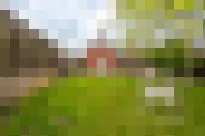 Farmsumerweg 101 Appingedam thumbnail 15