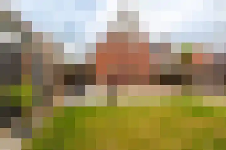 Farmsumerweg 101 Appingedam thumbnail 16