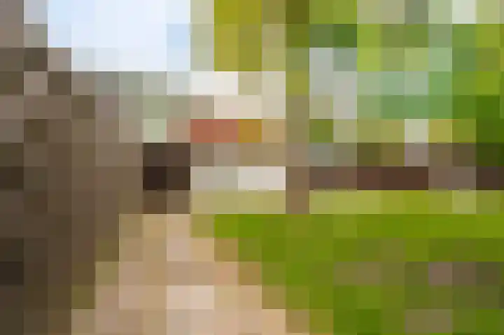 Farmsumerweg 101 Appingedam thumbnail 17