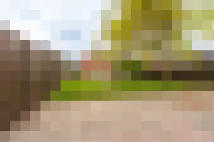 Farmsumerweg 101 Appingedam thumbnail 5