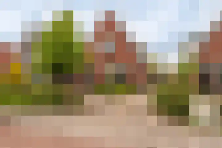 Farmsumerweg 101 Appingedam thumbnail 57