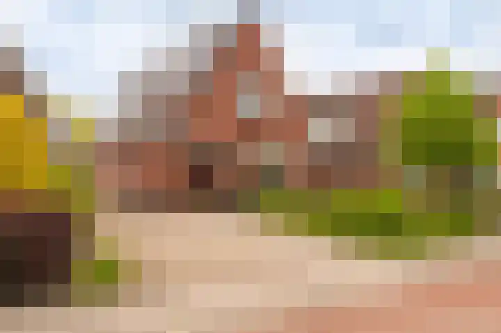 Farmsumerweg 101 Appingedam thumbnail 7