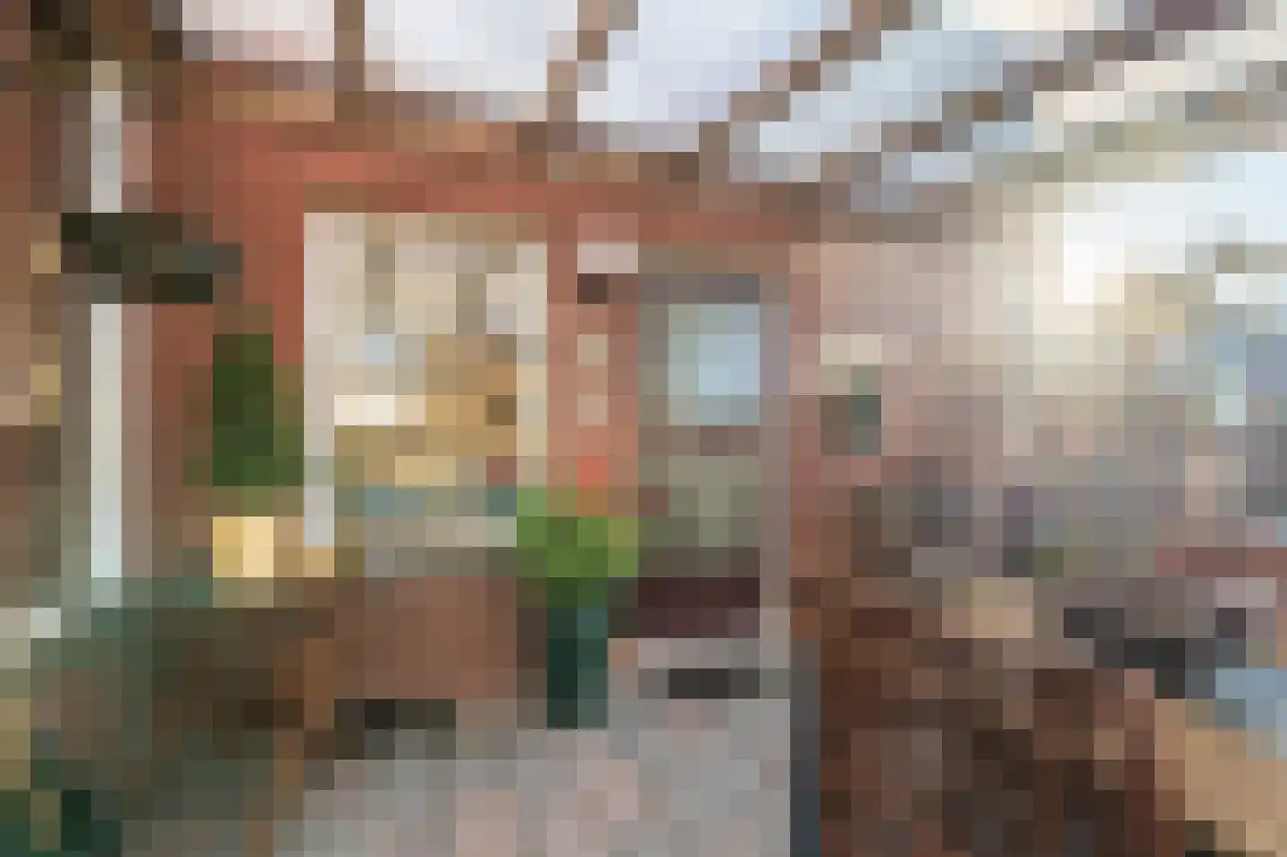 Farmsumerweg 58 Appingedam thumbnail 20
