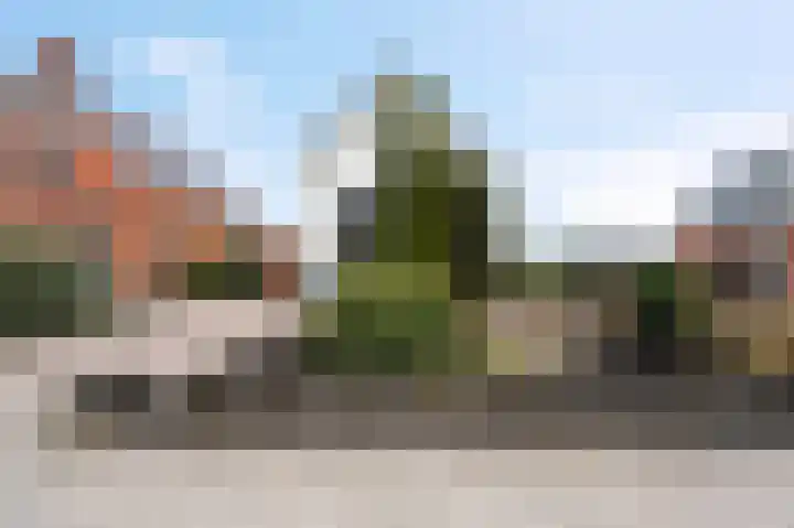 Farmsumerweg 71 Appingedam thumbnail 13