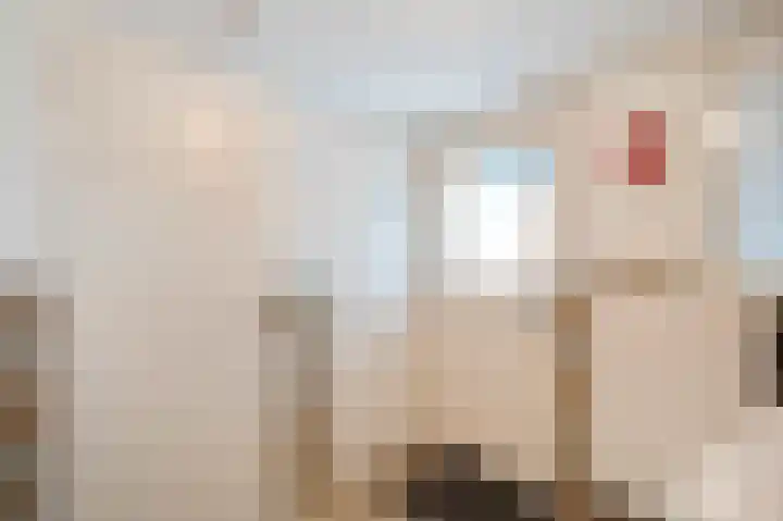 Farmsumerweg 71 Appingedam thumbnail 29