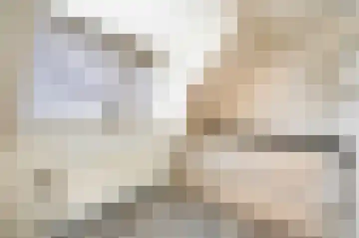 Farmsumerweg 71 Appingedam thumbnail 42