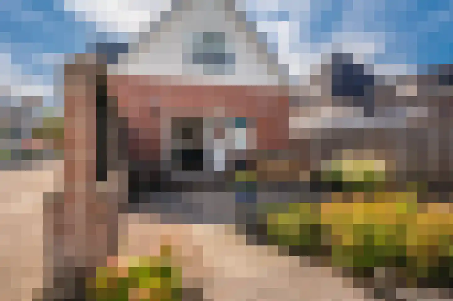 Farmsumerweg 81 Appingedam thumbnail 13