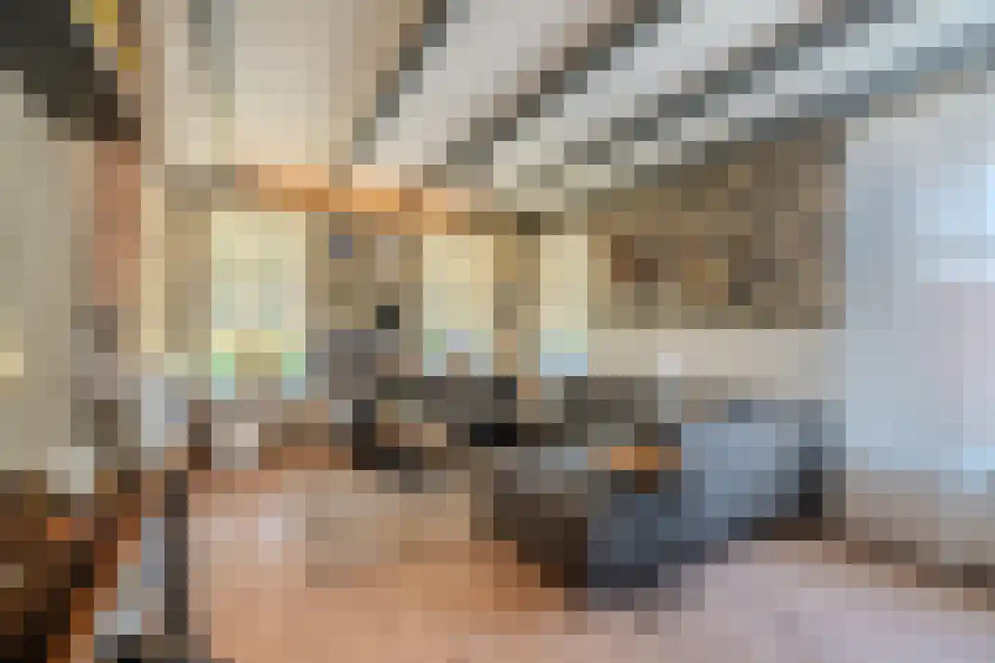 Farmsumerweg 81 Appingedam thumbnail 31