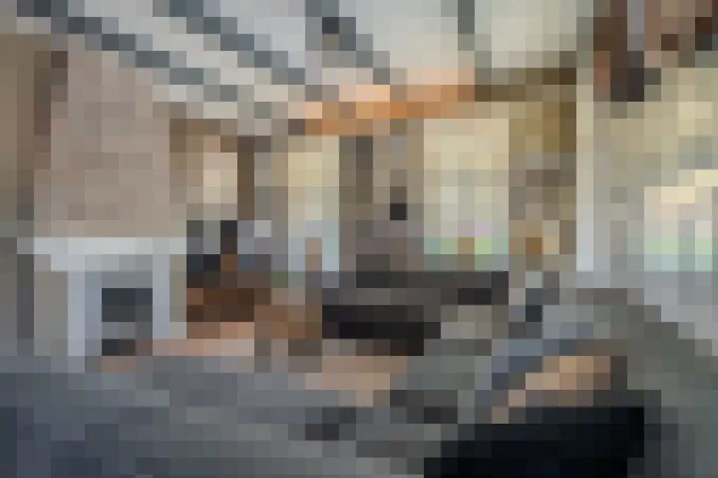 Farmsumerweg 81 Appingedam thumbnail 32
