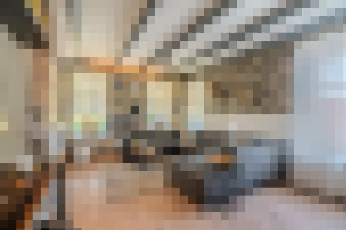 Farmsumerweg 81 Appingedam thumbnail 4
