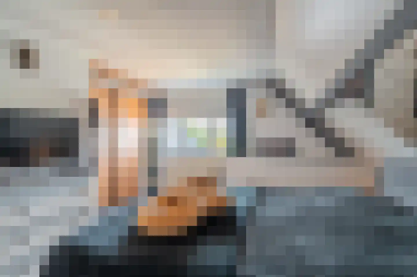 Farmsumerweg 81 Appingedam thumbnail 47