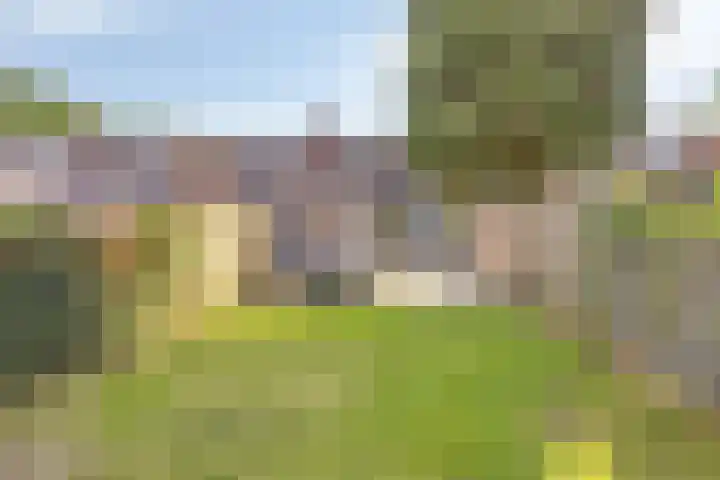 Farmsumerweg 87 Appingedam thumbnail 24