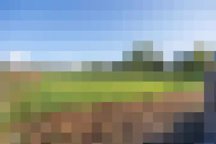 Farmsumerweg 87 Appingedam thumbnail 42