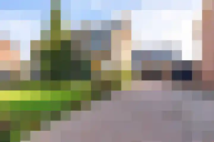 Farmsumerzijl 15 en Farmsum